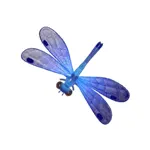 アオハダトンボ