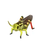 アルキプテラフスカ