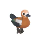 アカツクシガモ