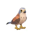 チョウゲンボウ