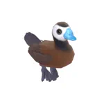 カオジロオタテガモ