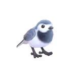 タイリクハクセキレイ