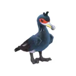 チシマウガラス