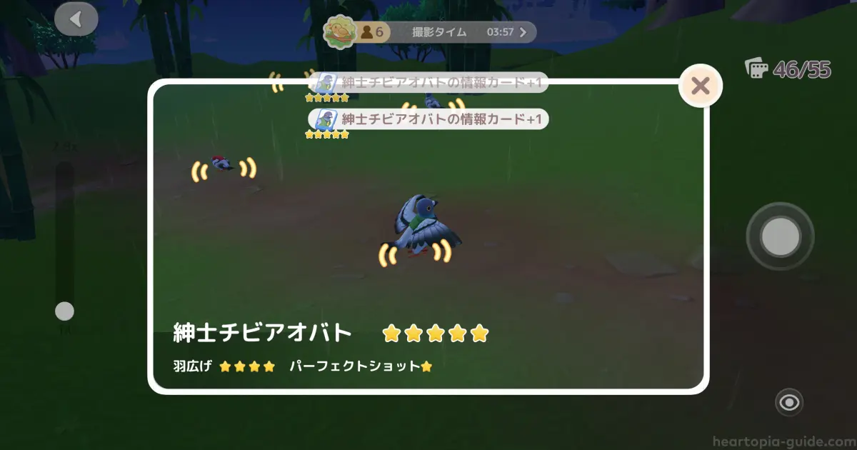 ハートピアスローライフの野鳥観察で星5を撮る瞬間