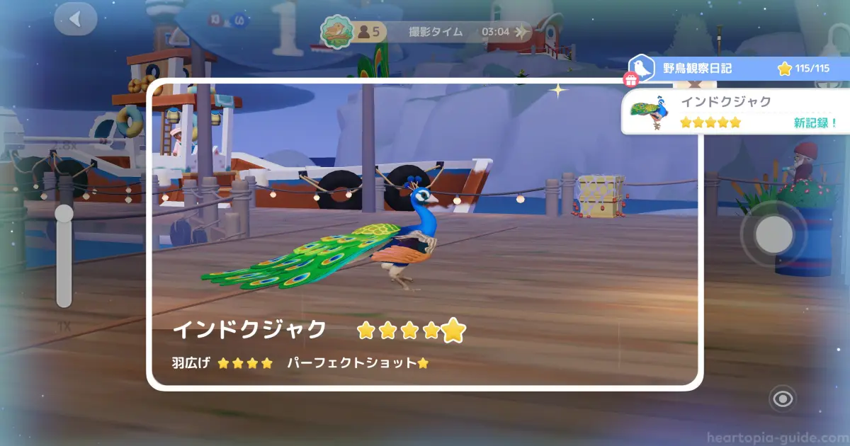 星5の野鳥を写真撮影する瞬間