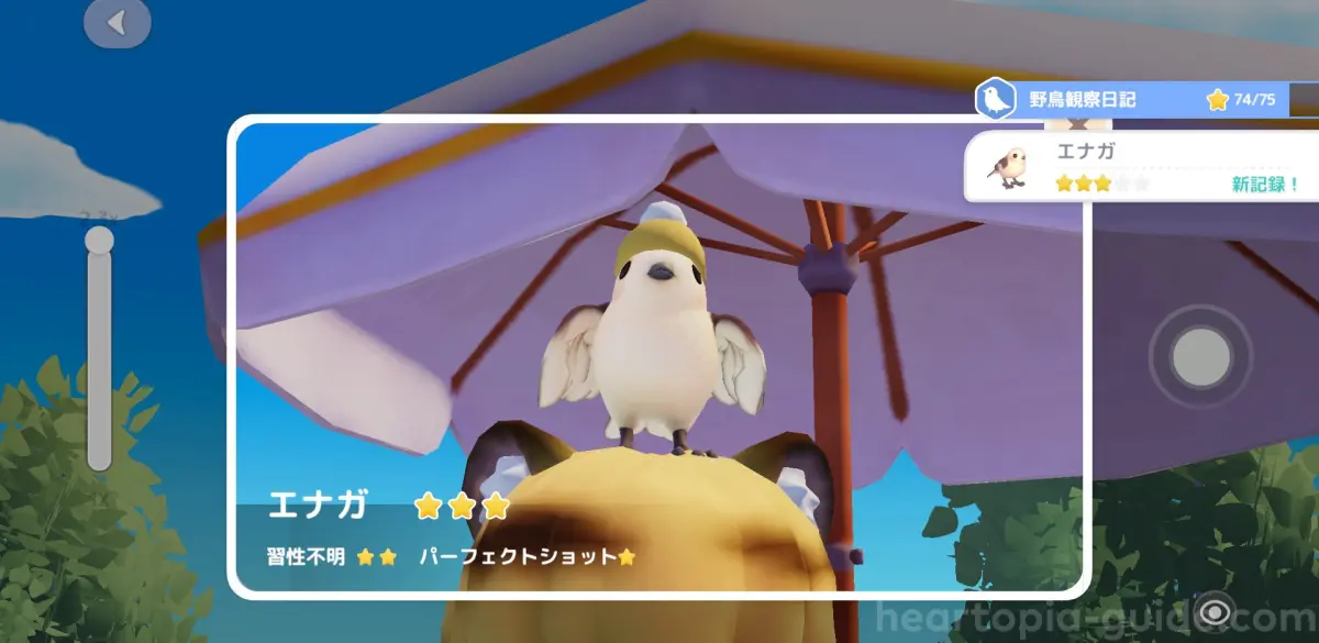 エナガ無限撮影のやり方