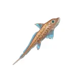 カイブツギンザメ