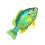 パンプキンシード