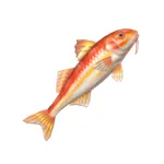 ストライプトレッドマレット