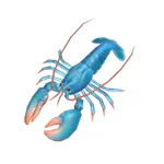 ヨーロッパロブスター