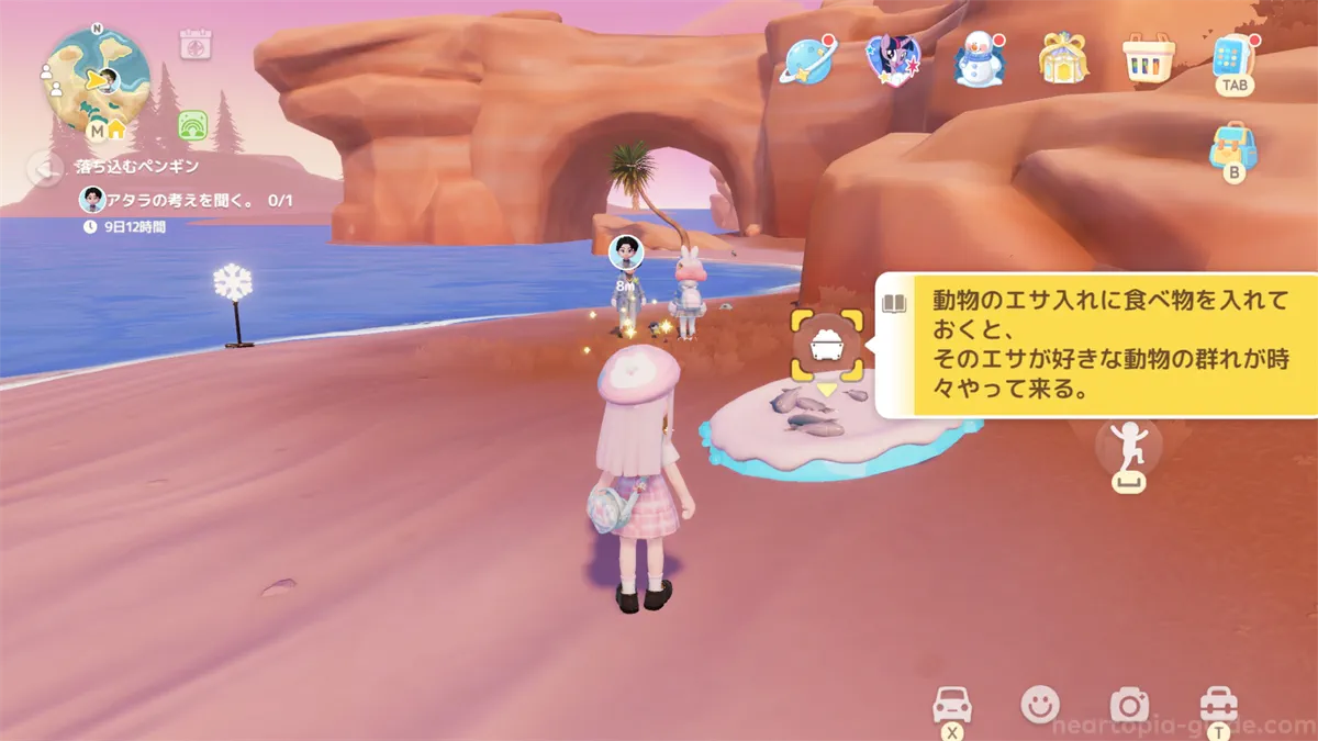 野生動物の餌やり