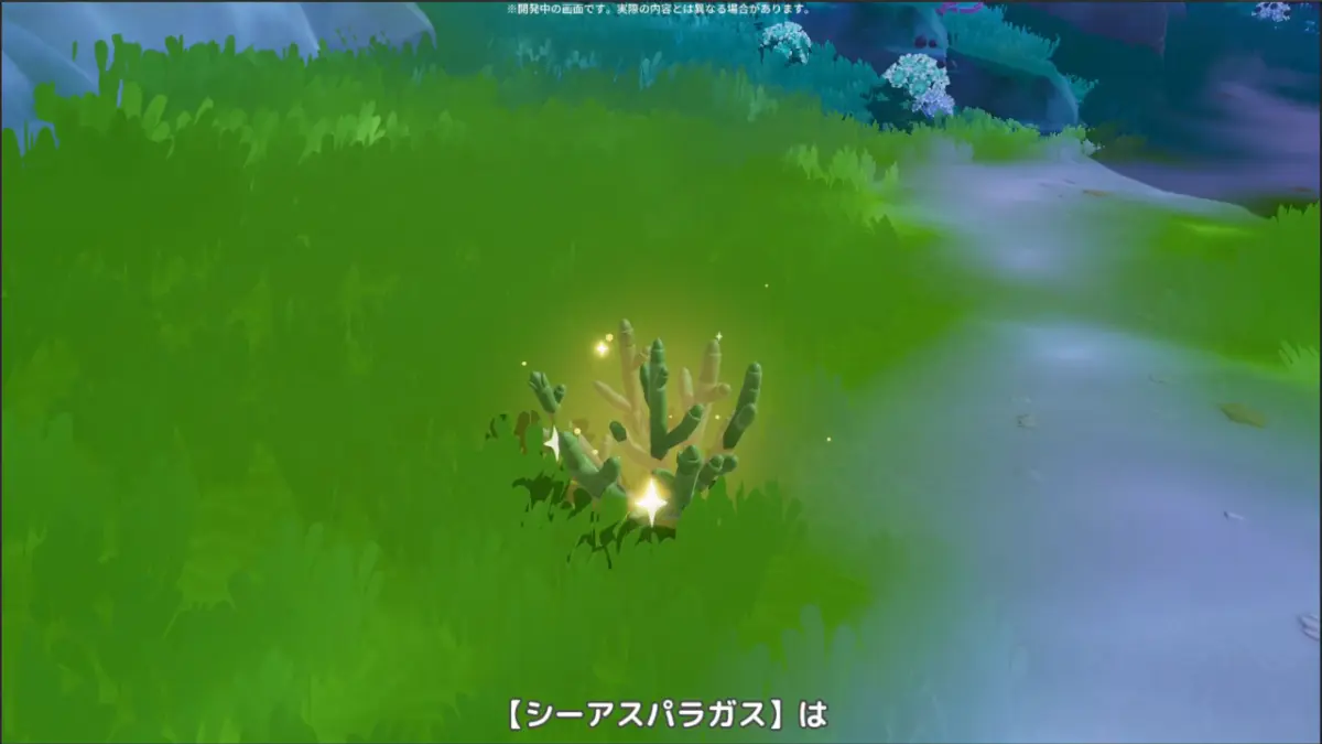 シーアスパラガス