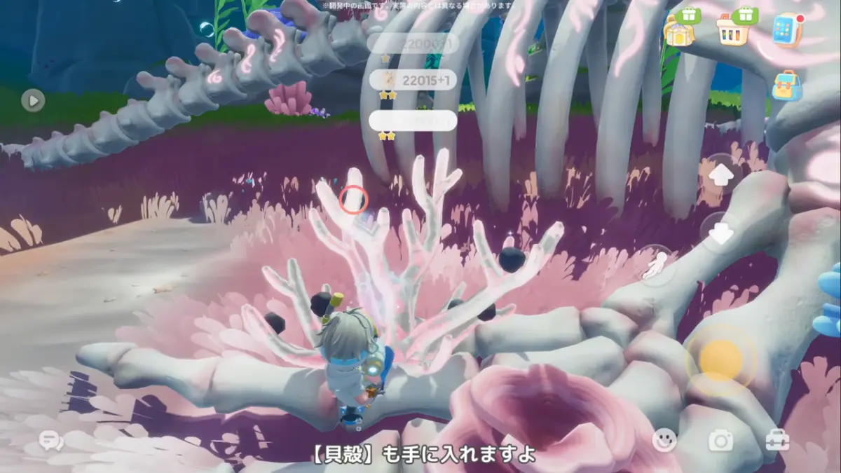 貝殻
