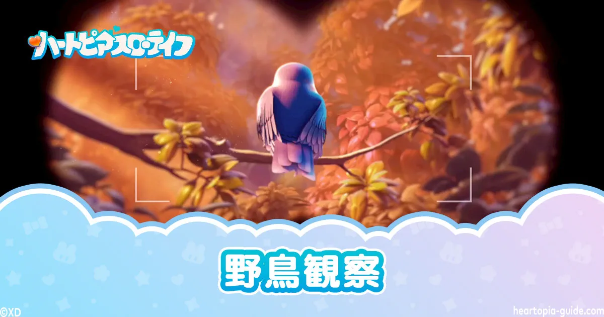 【ハートピアスローライフ】野鳥観察ガイド|スキャナーの使い方と撮影のコツ