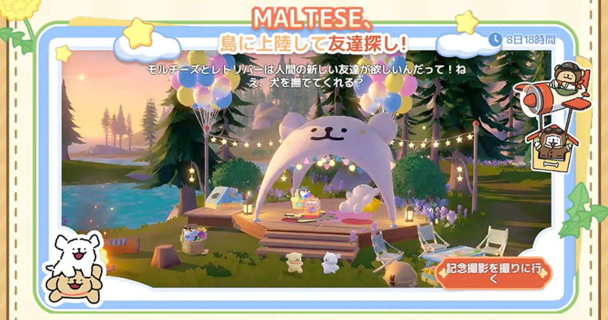 MALTESE、島に上陸して友達探し！