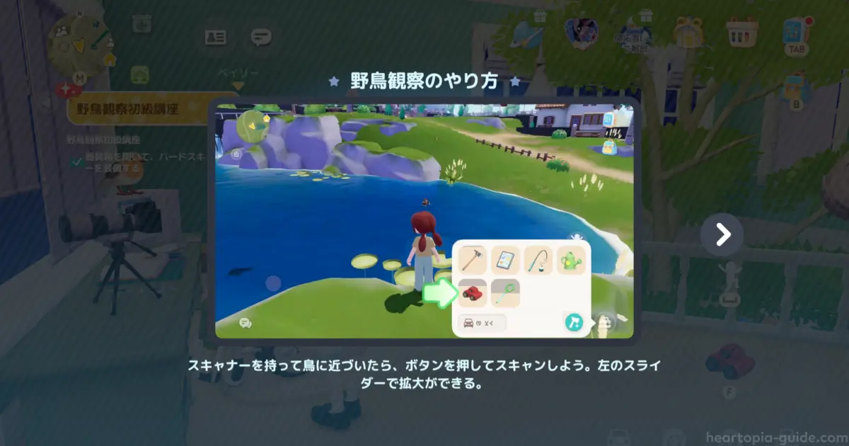 野鳥観察のやり方