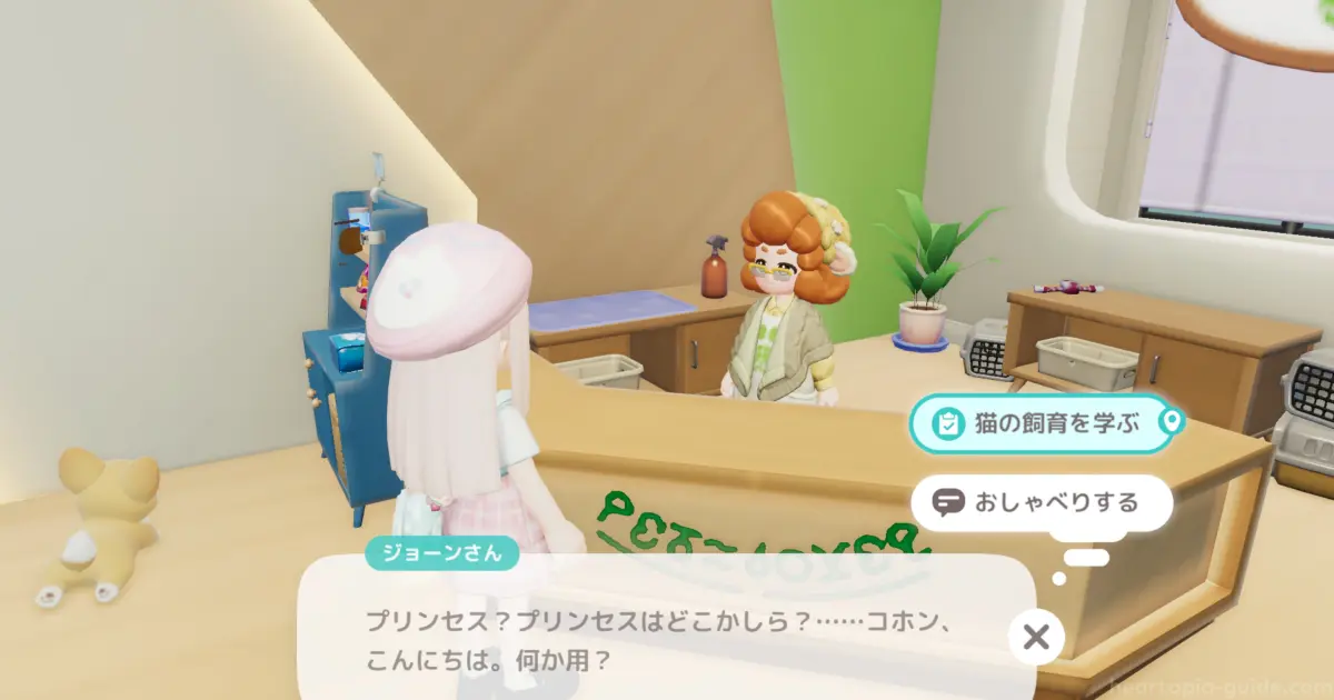 猫の飼育を習得