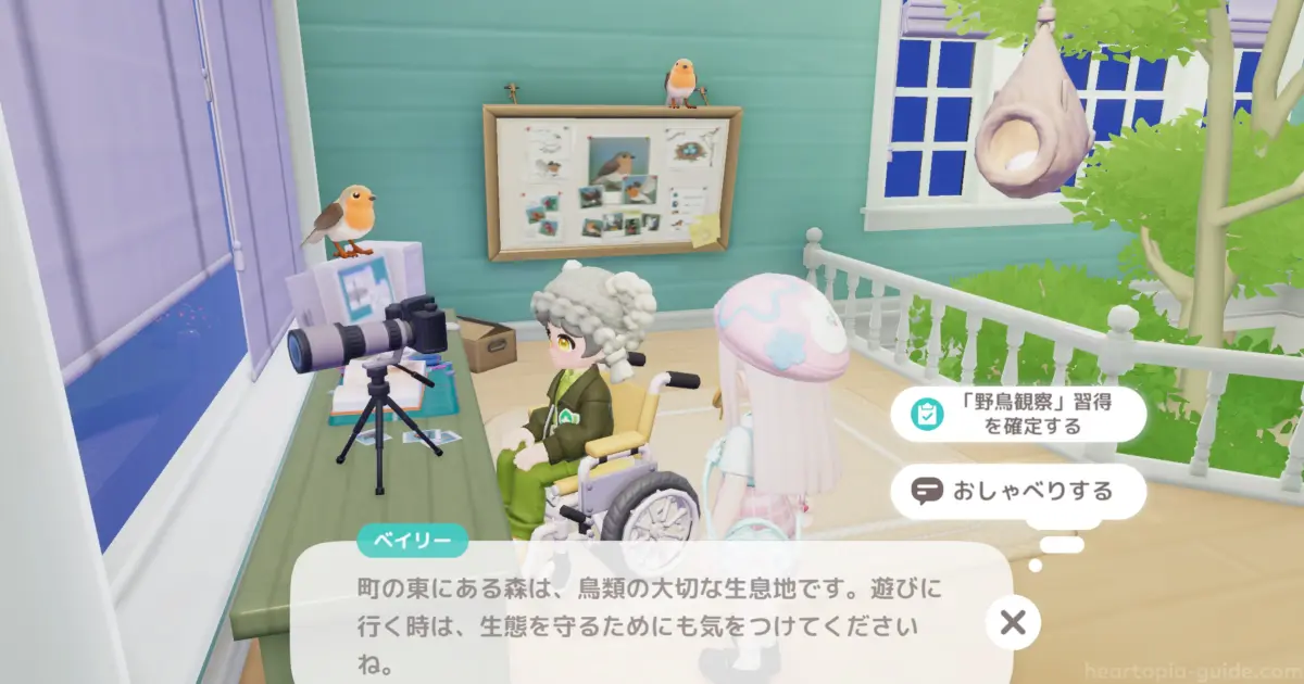 野鳥観察を習得