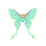 ヒメオナガミズアオ