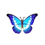 ヘレナモルフォ