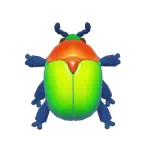 ビューティースペキオーサ