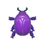 アオホシハナムグリ