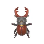 ミヤマクワガタ