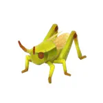 クリソクラオン