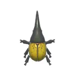 ヘラクレスオオカブト