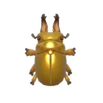 オウゴンオニクワガタ