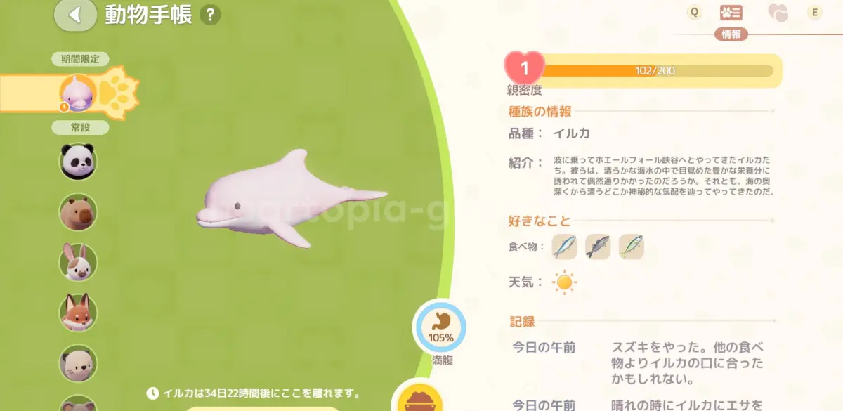 ハートピアスローライフのイルカ