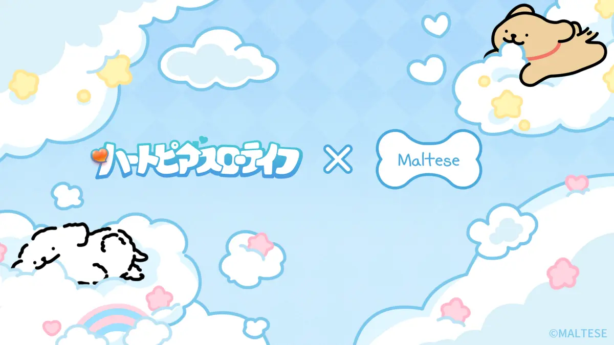 モルチーズ（Maltese）