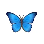 メネラウスモルフォ