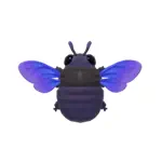 ムラサキクマバチ