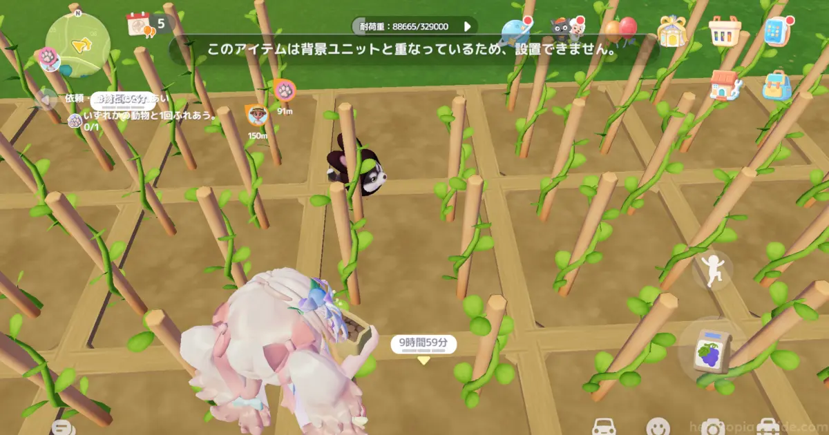 犬・猫がプランターにいて種まきができない