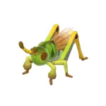 シベリアヒナバッタ