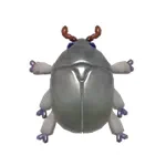 シルバージュエルコガネ