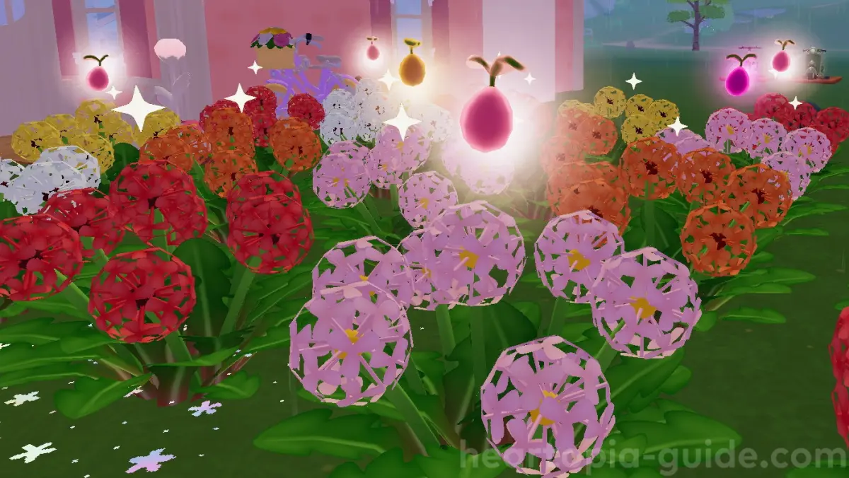 オレンジ・ピンクを植えて黒・桃を作る