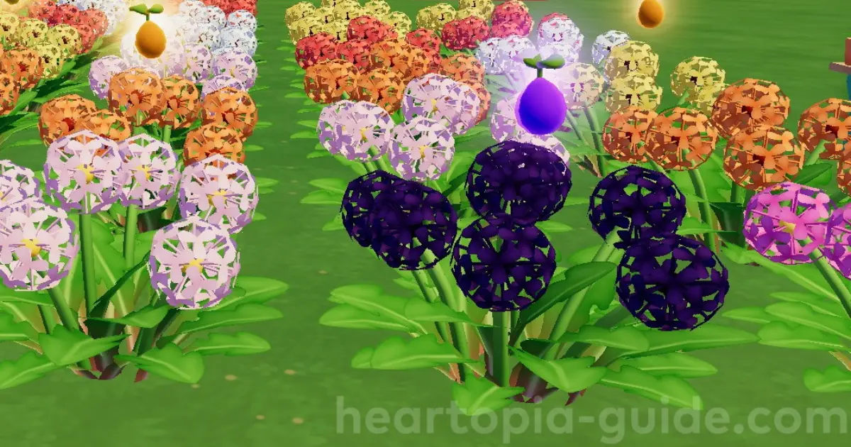 黒・桃を植えて青・紫を作る