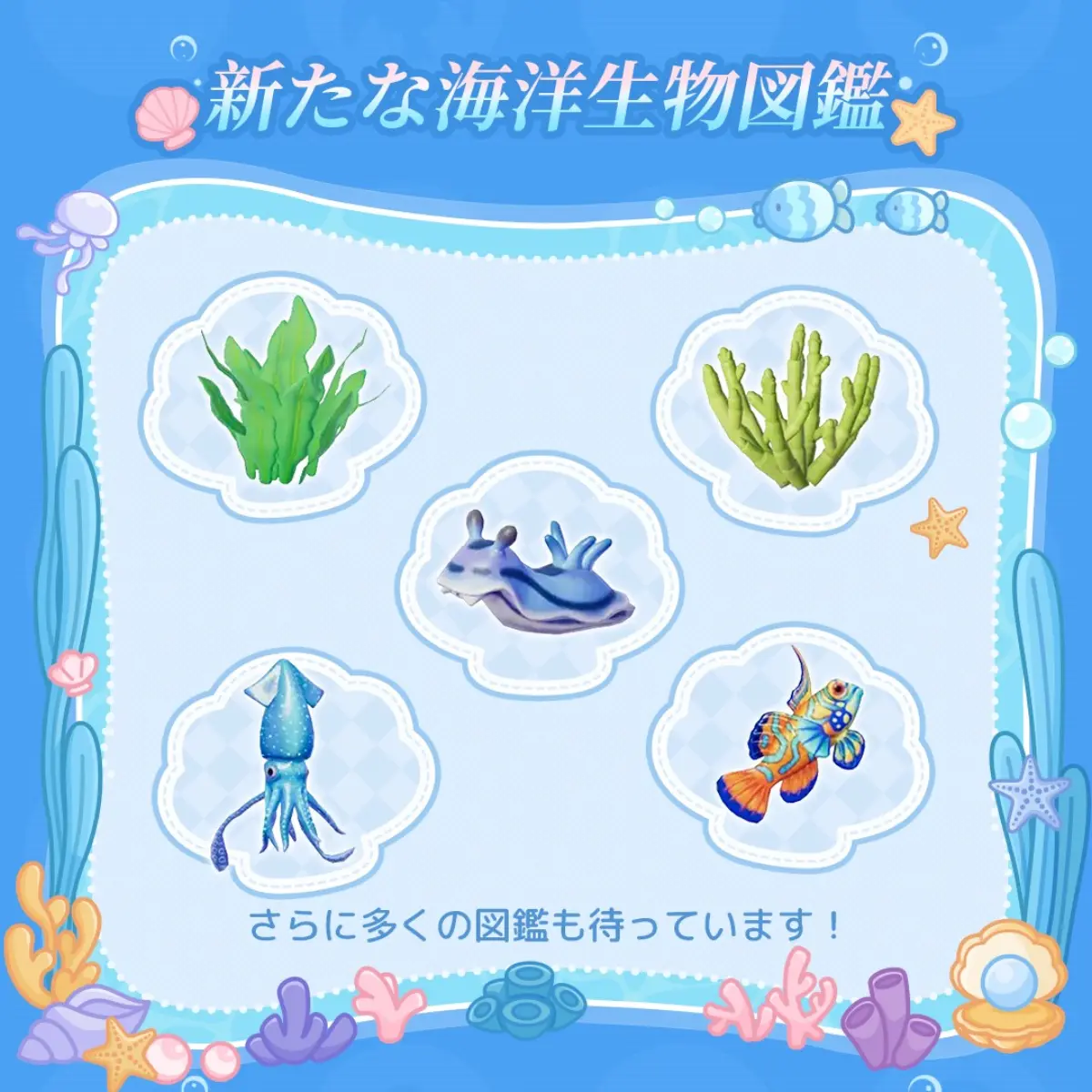 新しい海洋生物図鑑